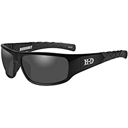 Harley-Davidson Men's Burnout HD Sunglasses, Gray Lens/Gloss Black Frame HABNT01