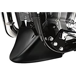 Protector De Carter Compatible para Harley Davidson Sportster 883 Iron 09-20